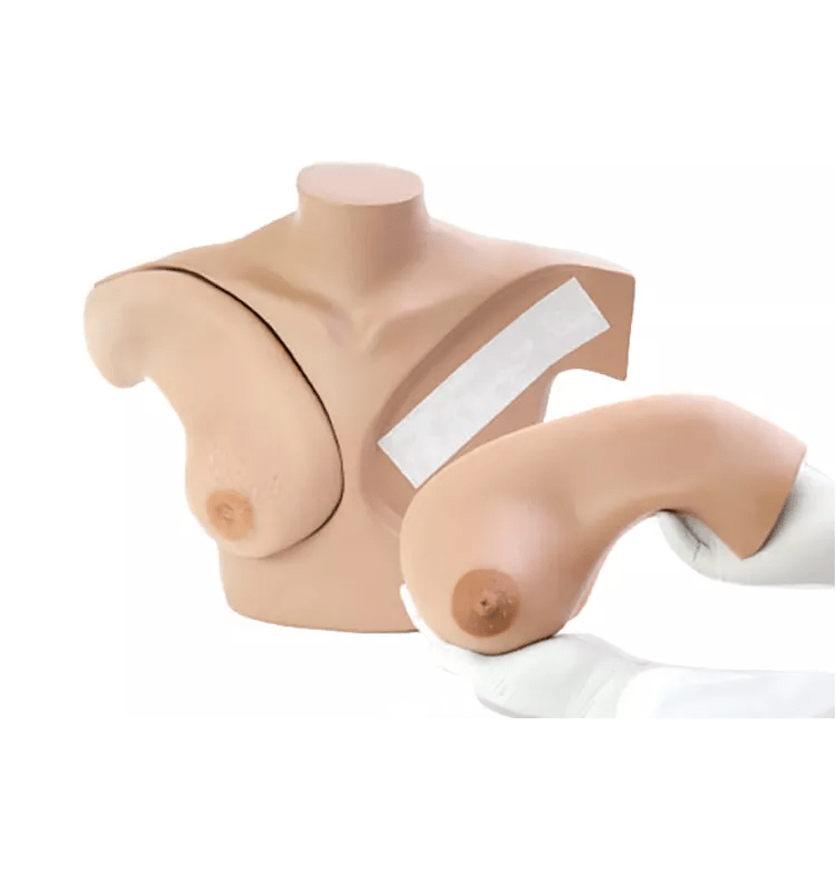 Brust - Tastuntersuchungssimulator - Erler - Zimmer